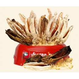 Vector-Food - Uszy królicze...