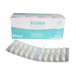 Vetfood - Flora Balance 20...