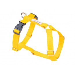 Amiplay - Szelki Guard...