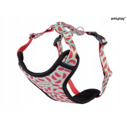 Amiplay - Discovery BeHappy...