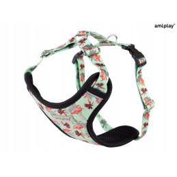 Amiplay - Discovery BeHappy...