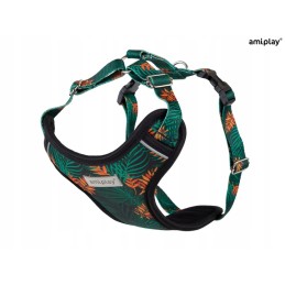 Amiplay - Discovery BeHappy...