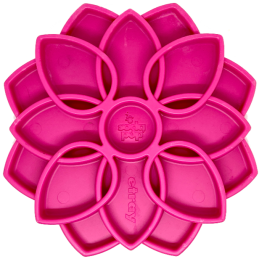 SodaPup - Mandala Feeder -...