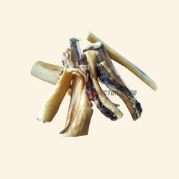 Vector-Food - Skóra z dzika...