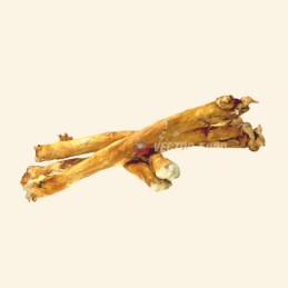 Vector-Food - Skóra...