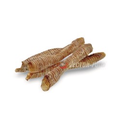 Vector-Food - Tchawica...