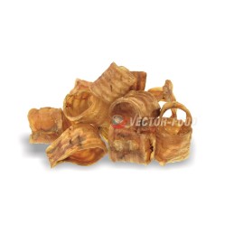 Vector-Food - Tchawica...