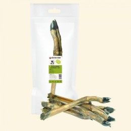 Vector-Food - Noga sarny 1...