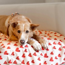 Baylabel - Mata Mon Amour...