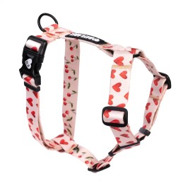 Baylabel - Szelki guard -...