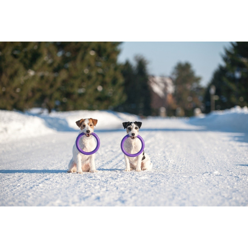 Puller - Mini dla psów małych ras