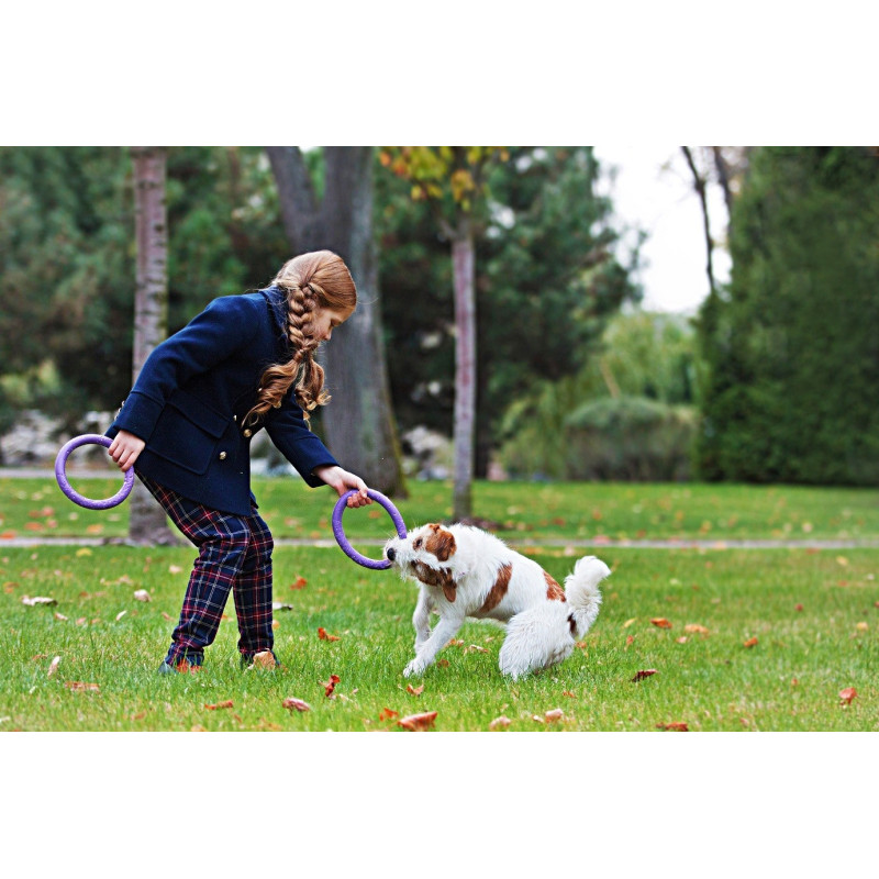 Puller - Mini dla psów małych ras