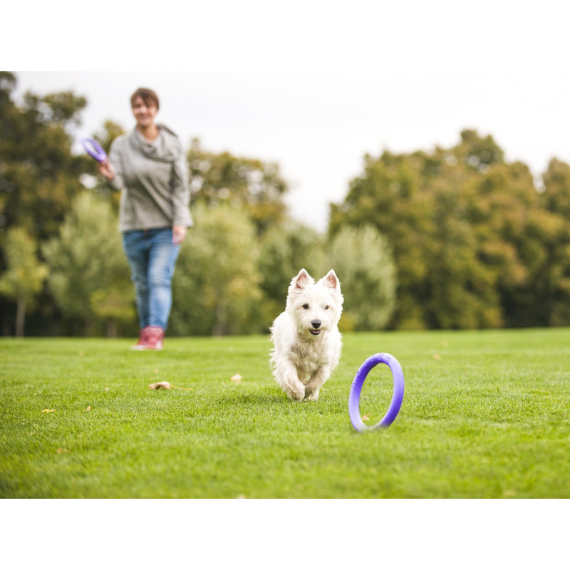 Puller - Mini dla psów małych ras