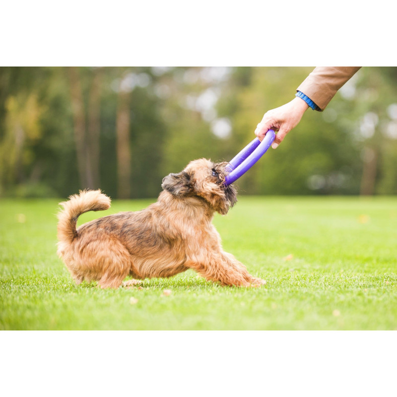 Puller - Mini dla psów małych ras