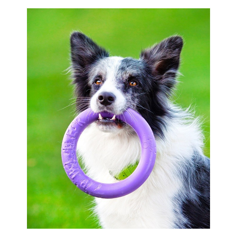 Puller - Midi dla psów średnich i dużych ras