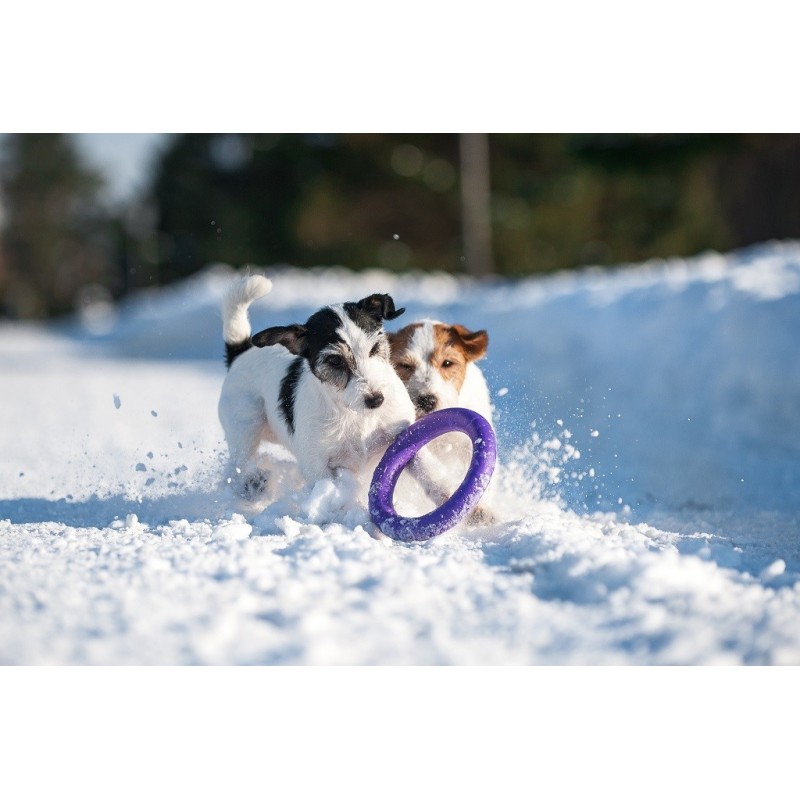 Puller - Midi dla psów średnich i dużych ras