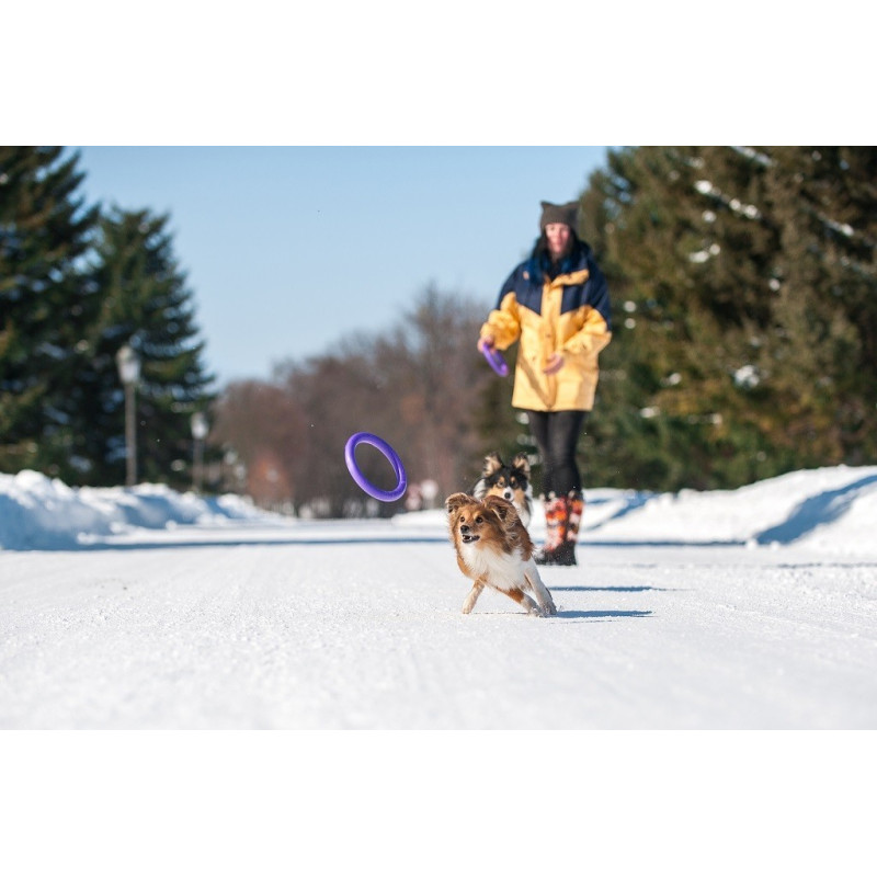 Puller - Midi dla psów średnich i dużych ras