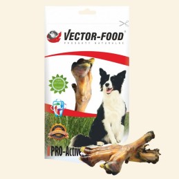 Vector-Food - Giczka...