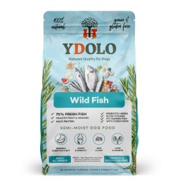 YDOLO - Wild Fish - Ryby...