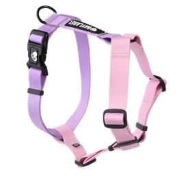 Baylabel - Szelki guard -...