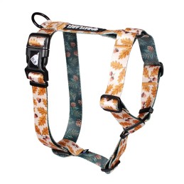 Baylabel - Szelki guard -...