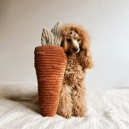 Psykryjmnie - Zabawka...