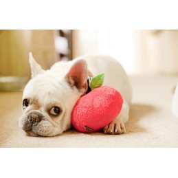 P.L.A.Y. - Garden Fresh...