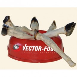 Vector-Food - Giczka jagnięca