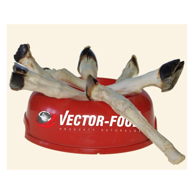 Vector-Food - Giczka jagnięca