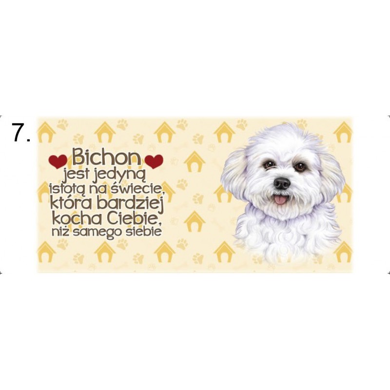 Kubek z rasą psa - Bichon