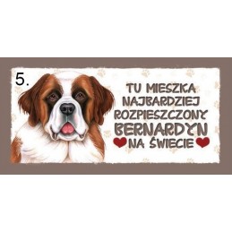 Magnes z rasą psa - Bernardyn