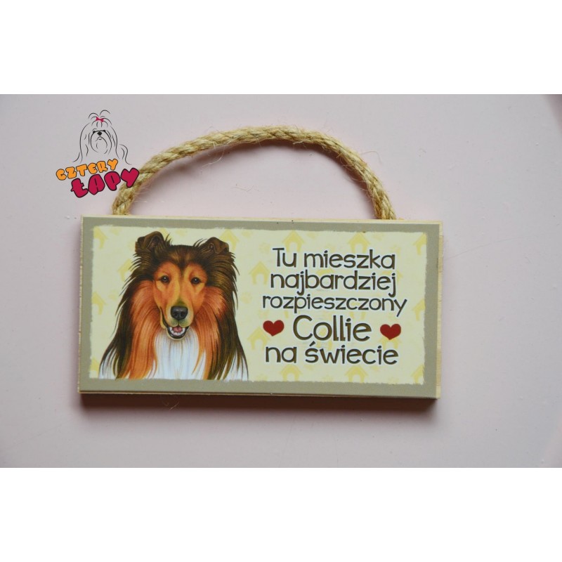 Magnes z rasą psa - Collie