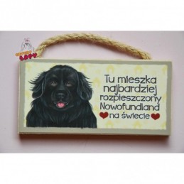 Magnes z rasą psa - Nowofundland