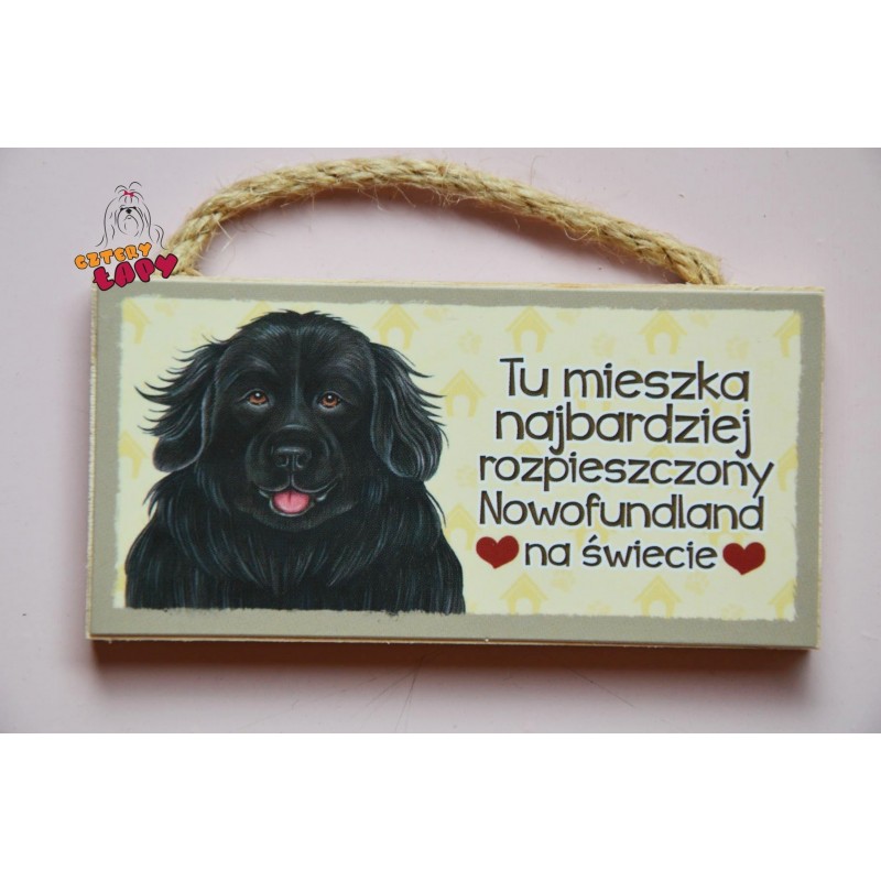Magnes z rasą psa - Nowofundland