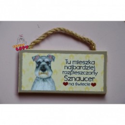 Magnes z rasą psa - Sznaucer