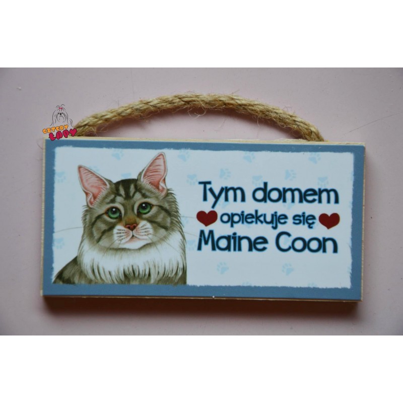 Magnes z kotem - Maine Coon