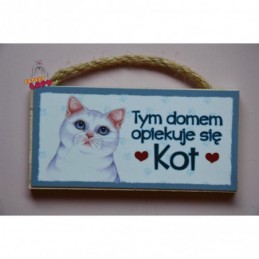 Magnes z kotem - Kot biały