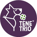TeneTrio