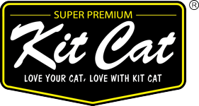 Kit Cat