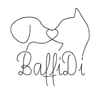 Baffidi